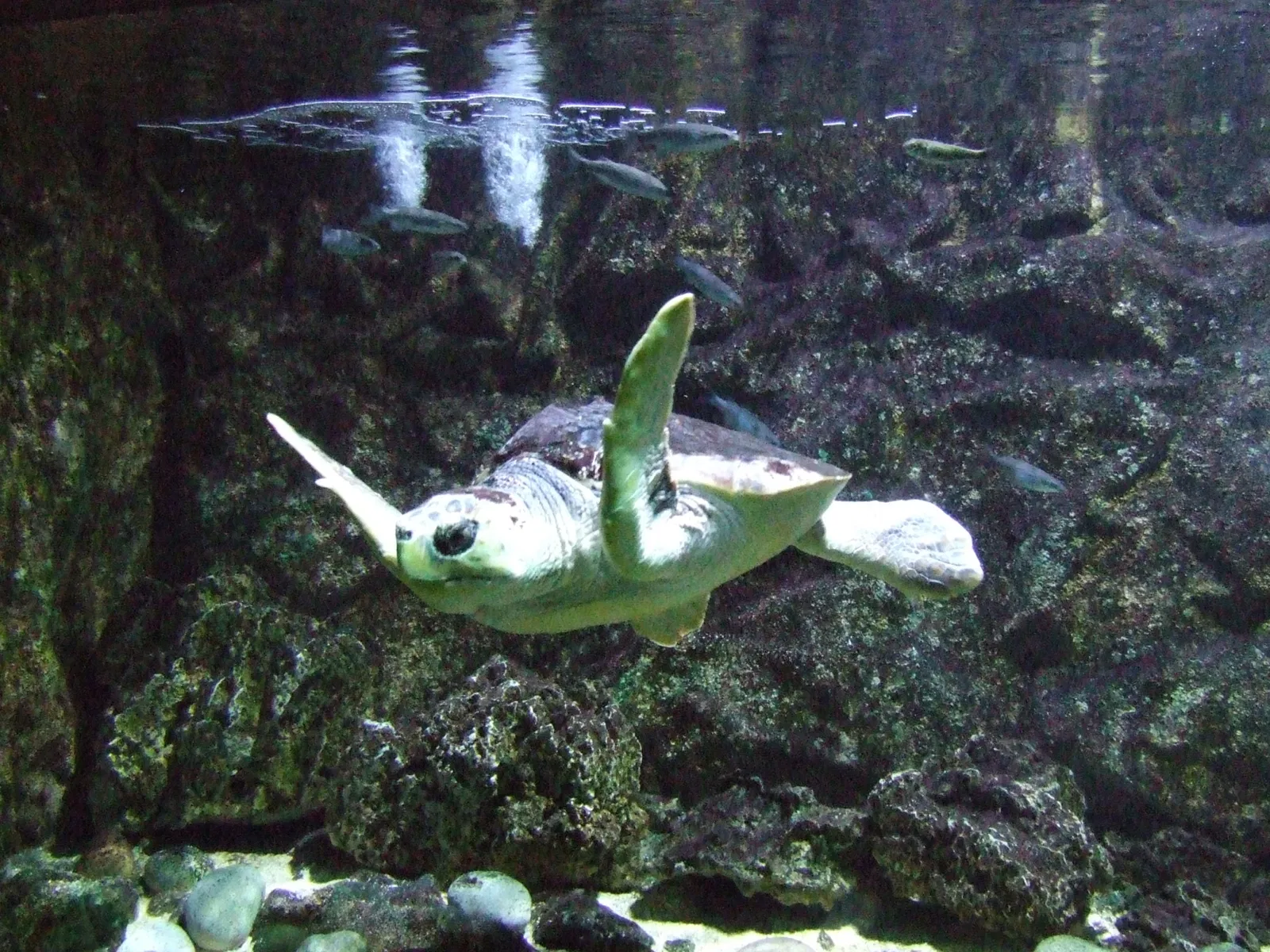 Museo Marítimo de Asturias