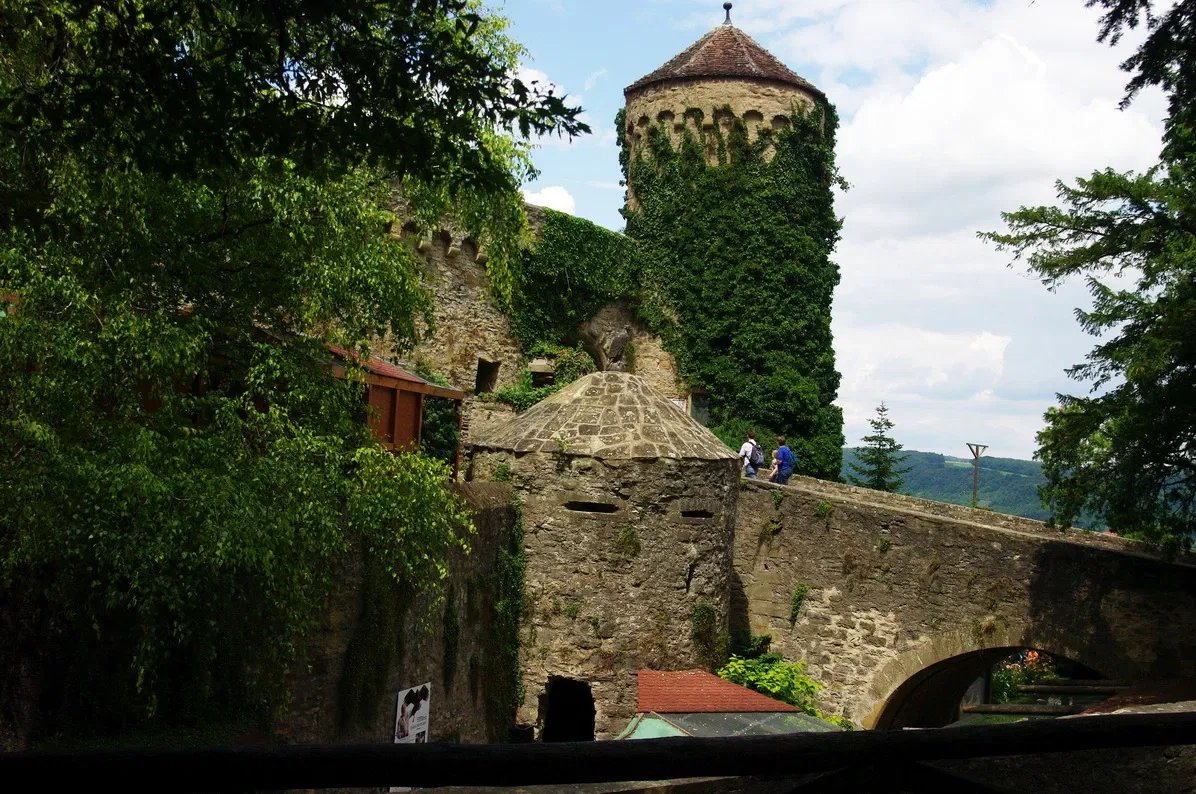 Burg Guttenberg Haßmersheim