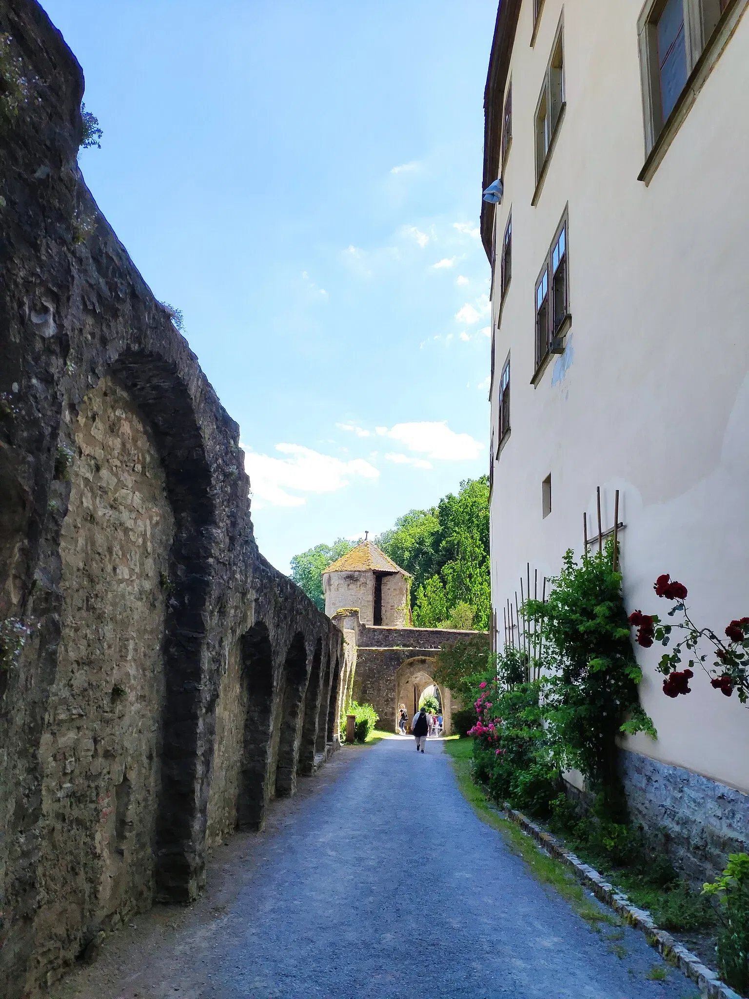Burg Guttenberg Haßmersheim