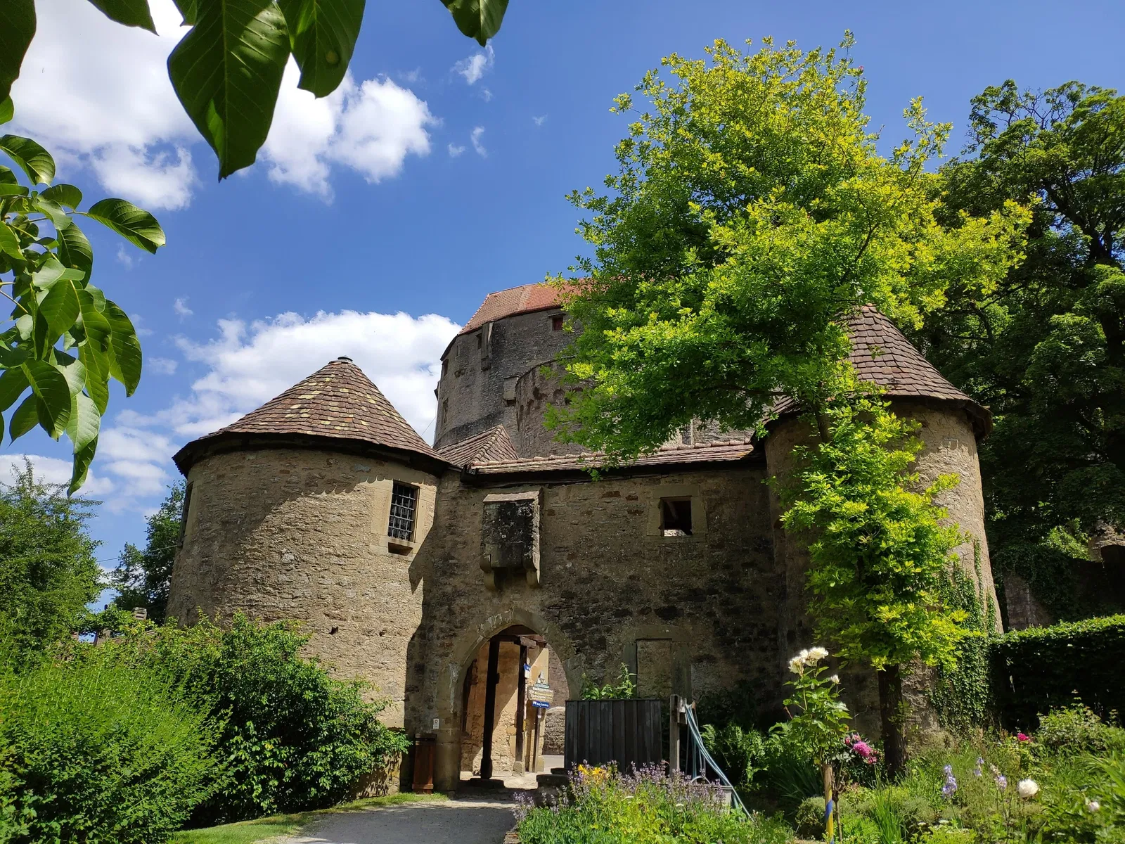 Burg Guttenberg Haßmersheim