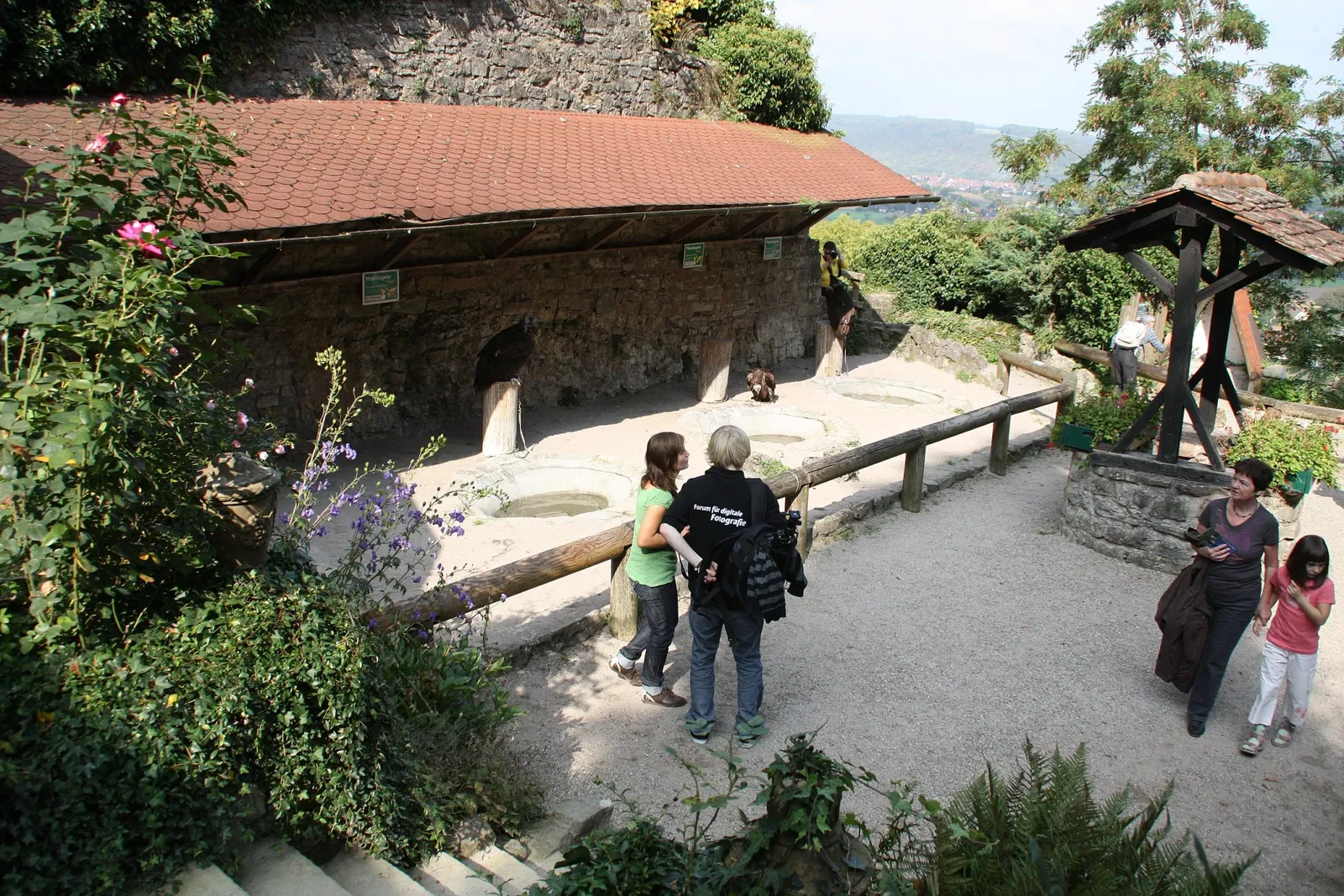 Burg Guttenberg Haßmersheim