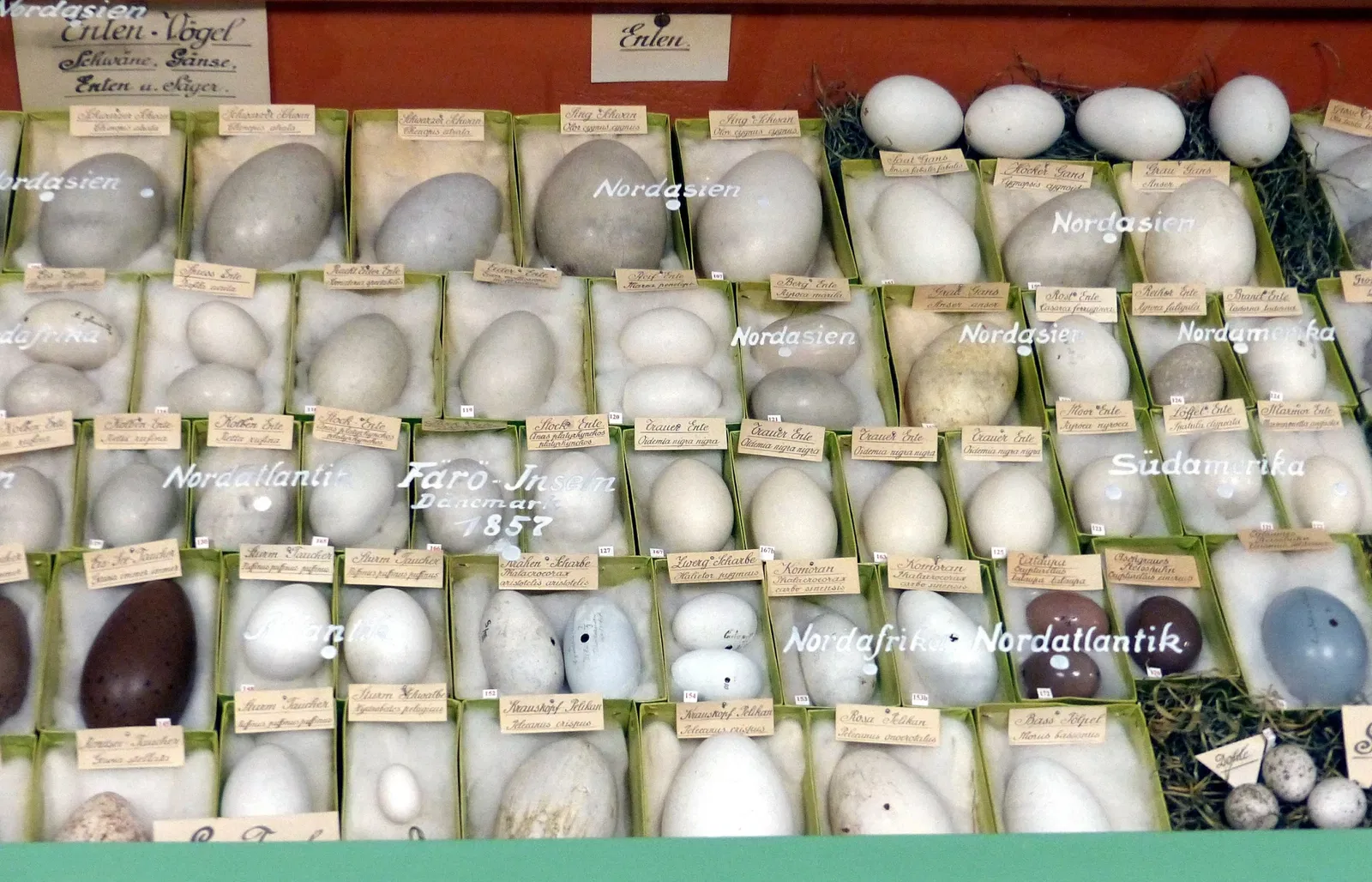 Stadsmuseum Schwabach