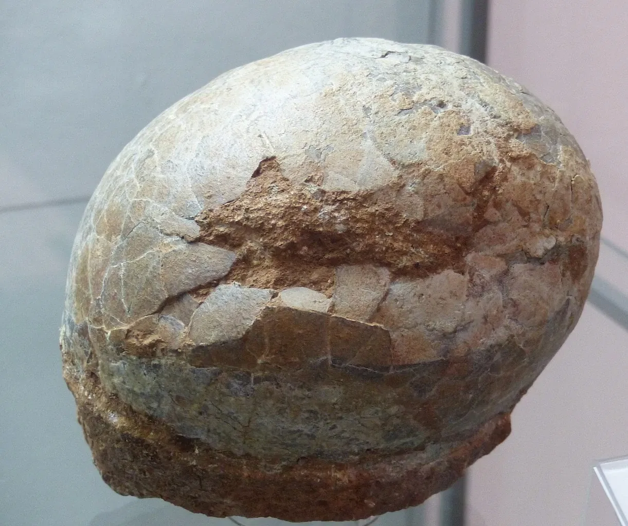 Stadtmuseum Schwabach