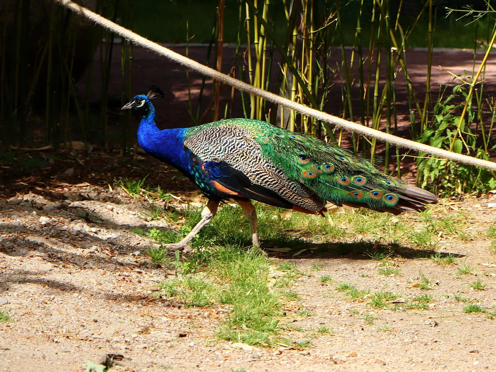 Tierpark Eilenburg