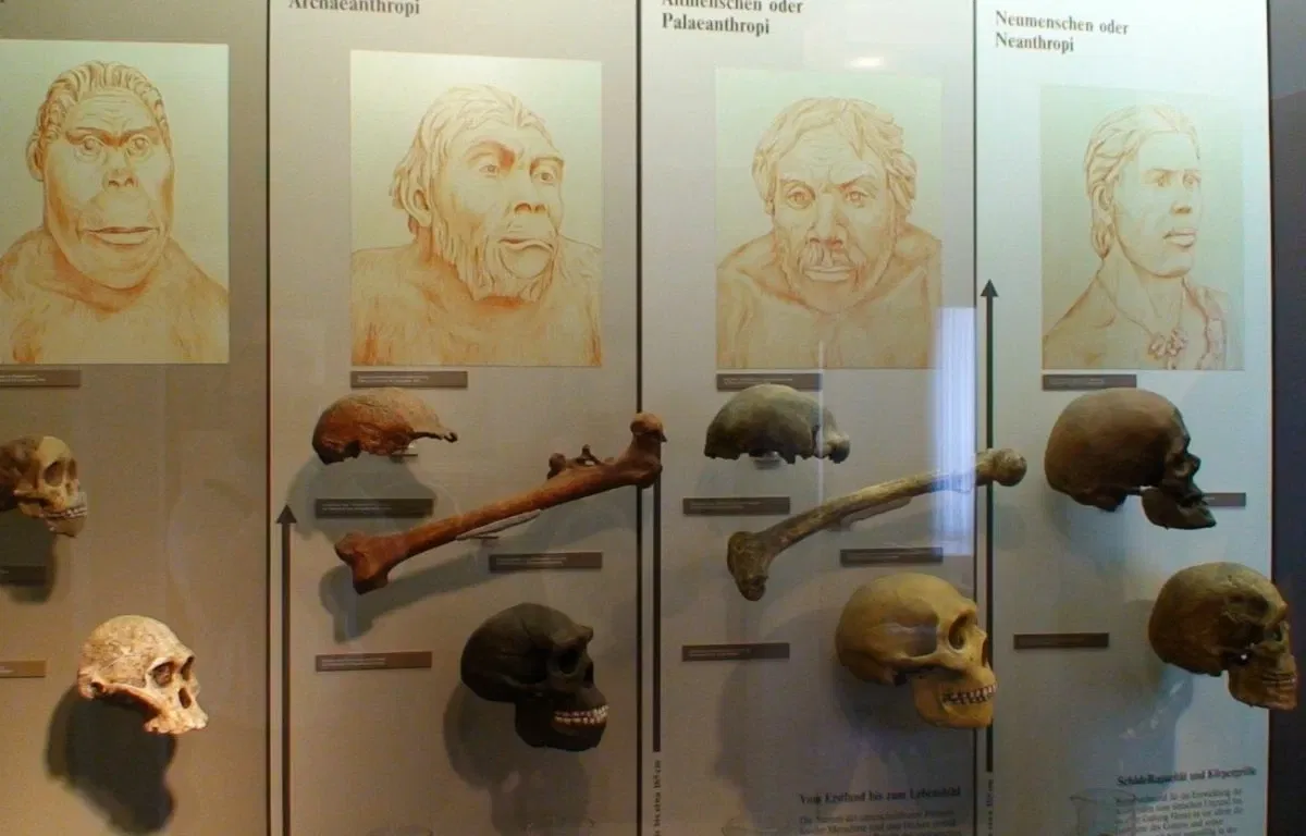 Urmensch-Museum