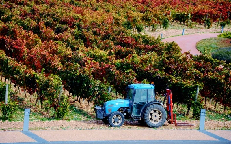 Museo Vivanco de la Cultura del Vino