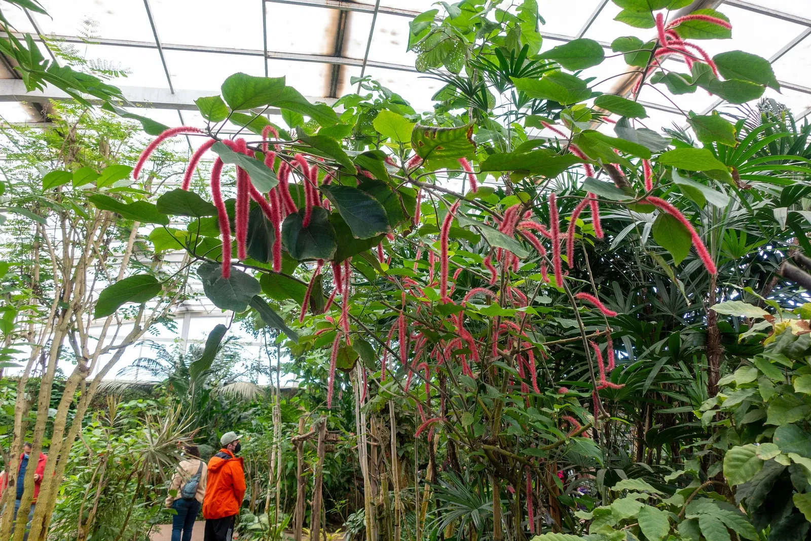 Mariposario de Benalmádena