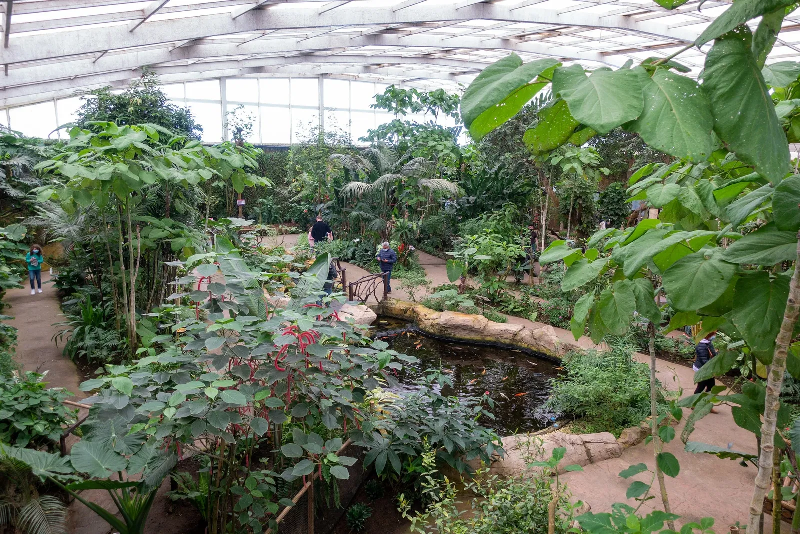 Mariposario de Benalmádena