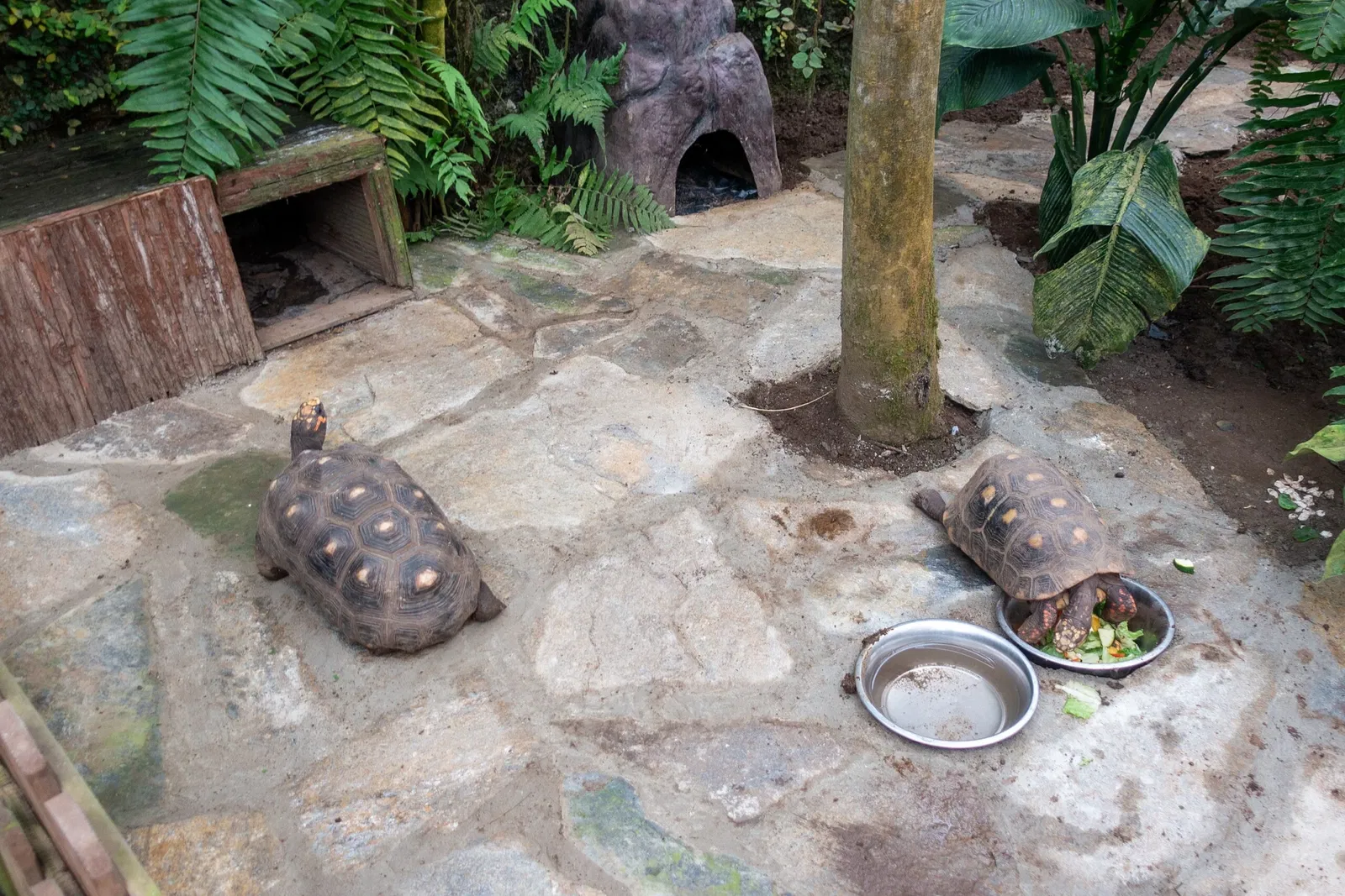 Mariposario de Benalmádena
