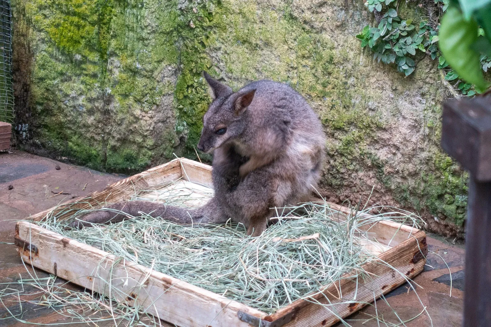 Mariposario de Benalmádena