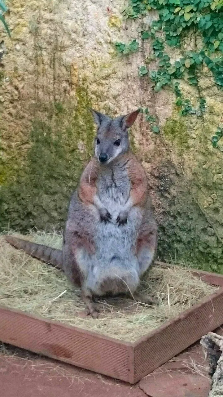 Butterfly Park of Benalmadena