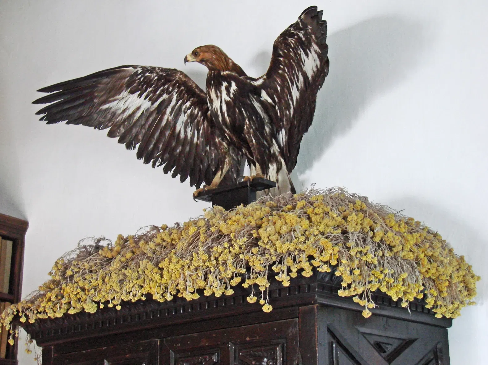 Salvador Dalí House Museum