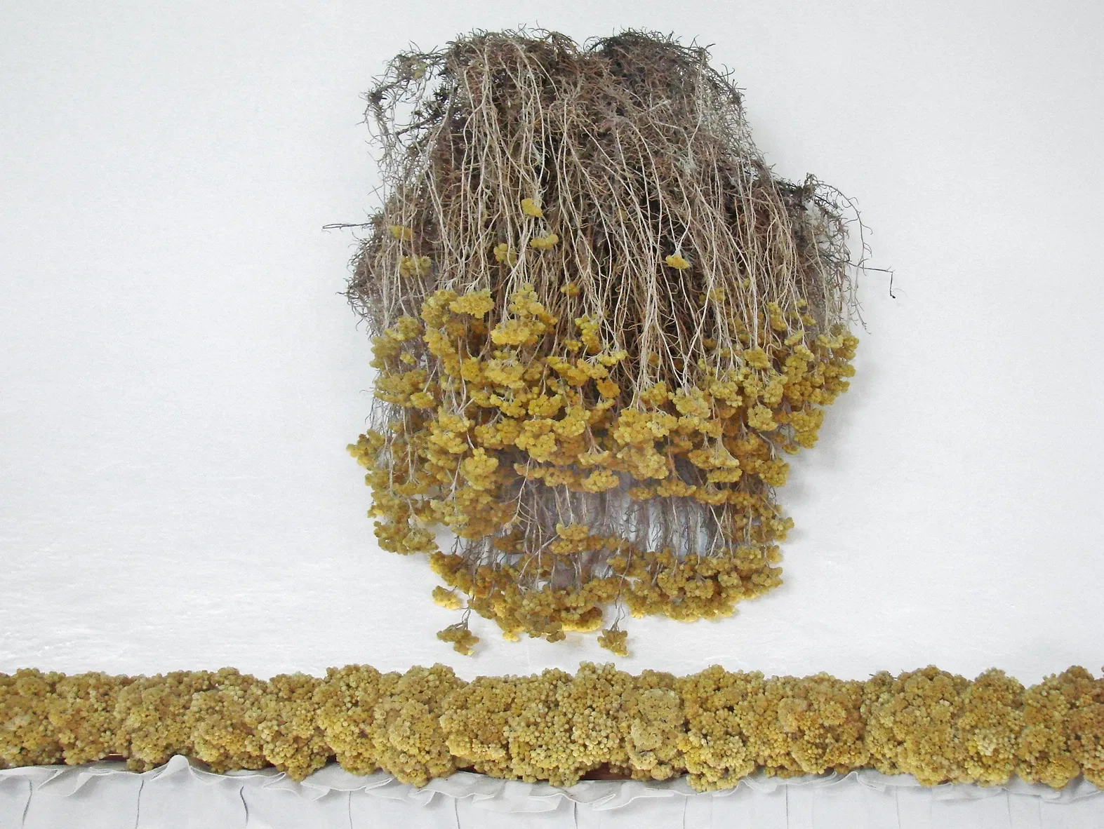 Maison-musée Salvador Dalí