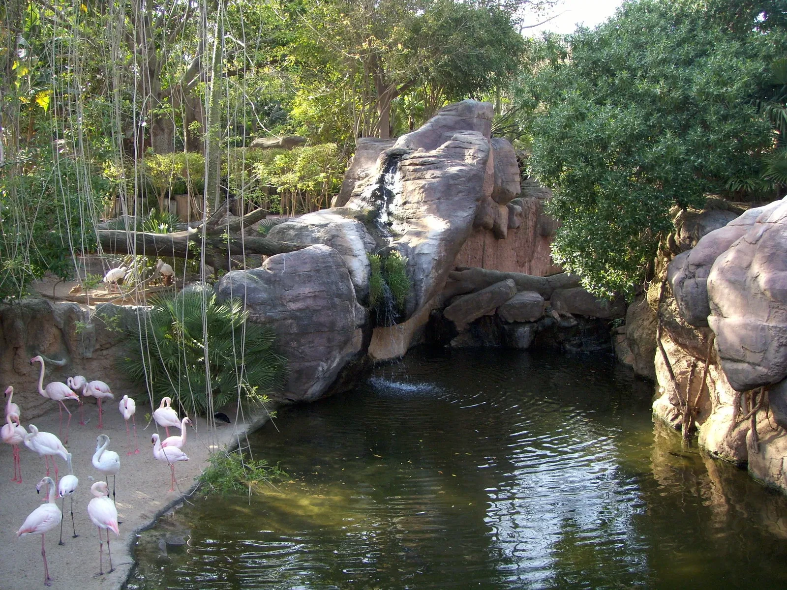 Bioparc Fuengirola