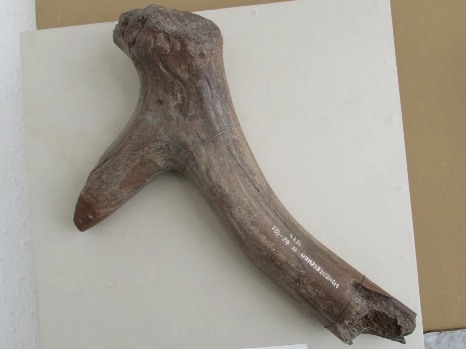 Kreismuseum Jerichower Land