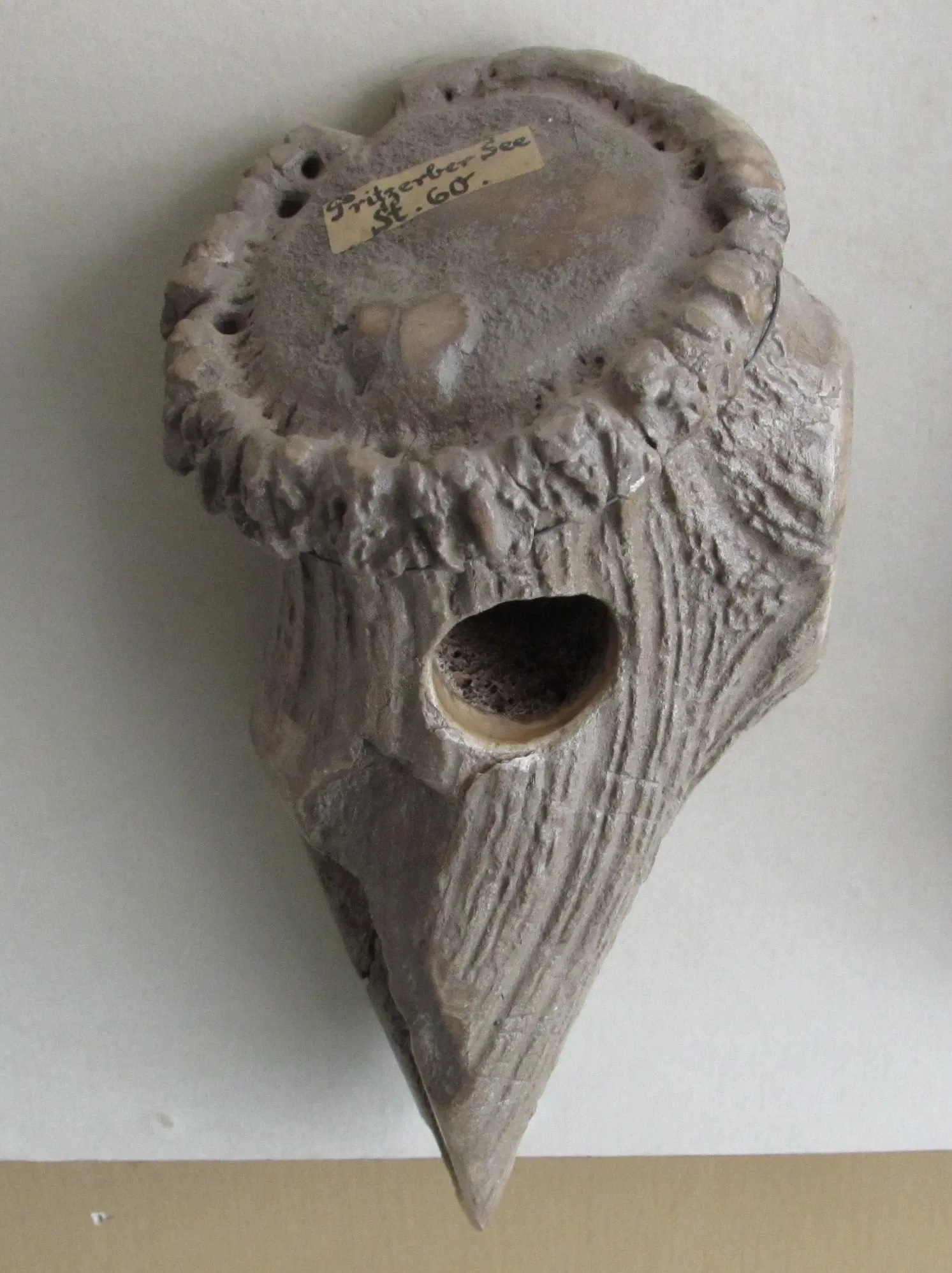 Kreismuseum Jerichower Land