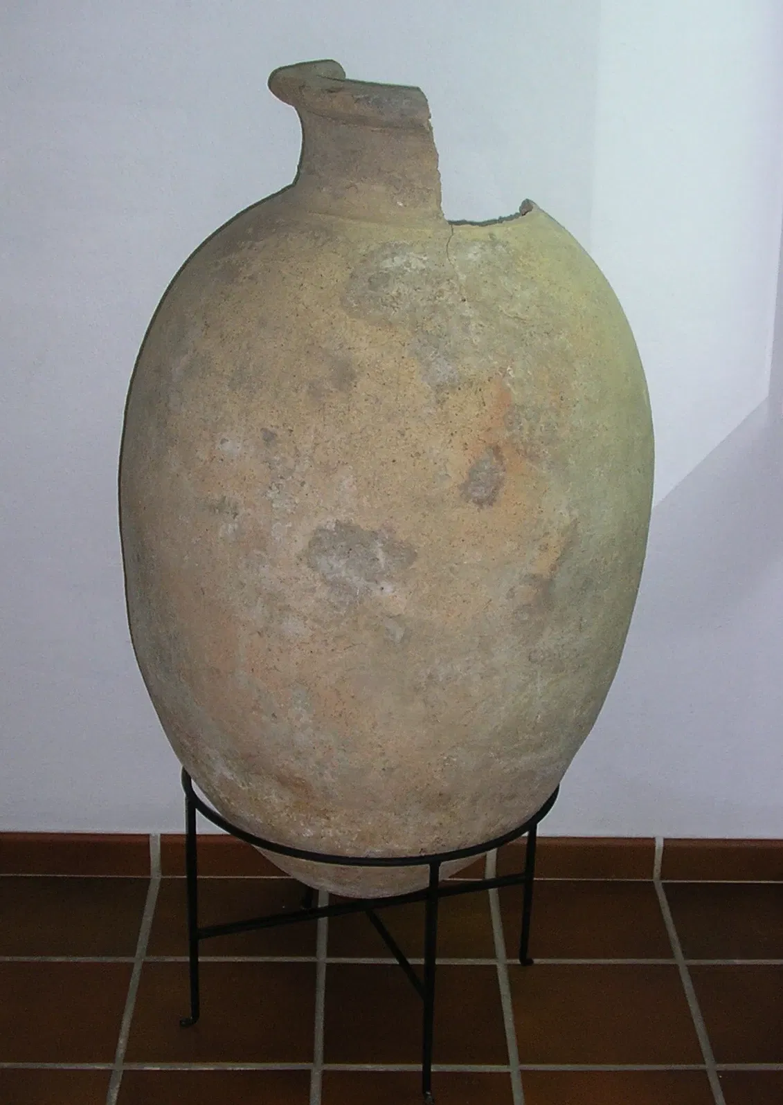 Municipal Museum of Algeciras