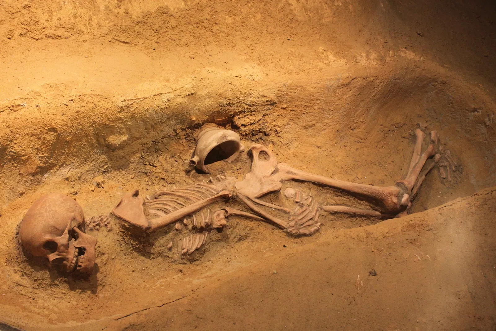 Municipal Museum of Algeciras