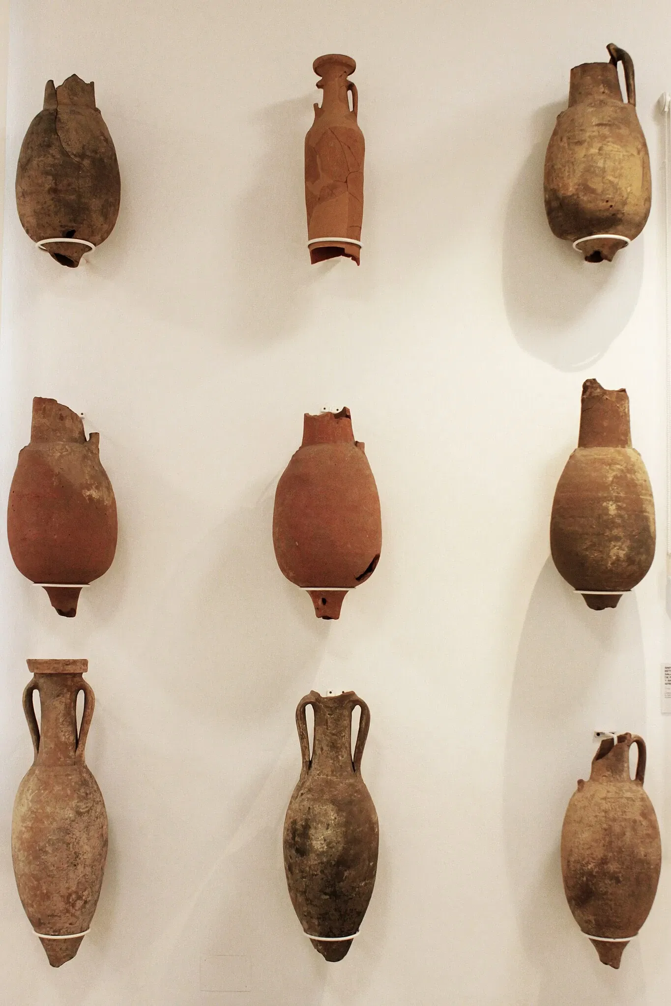 Municipal Museum of Algeciras