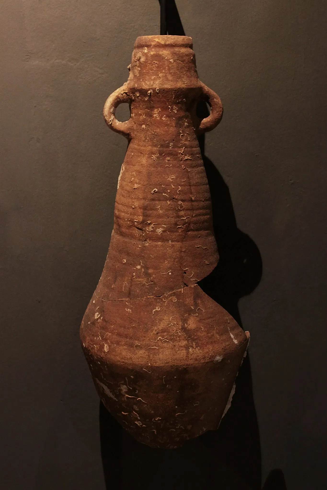 Museo Municipal de Algeciras