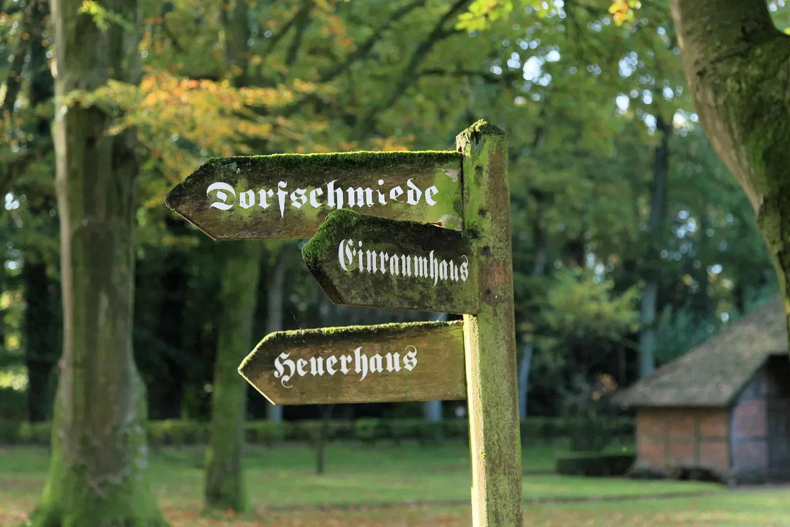 Ammerländer Bauernhaus