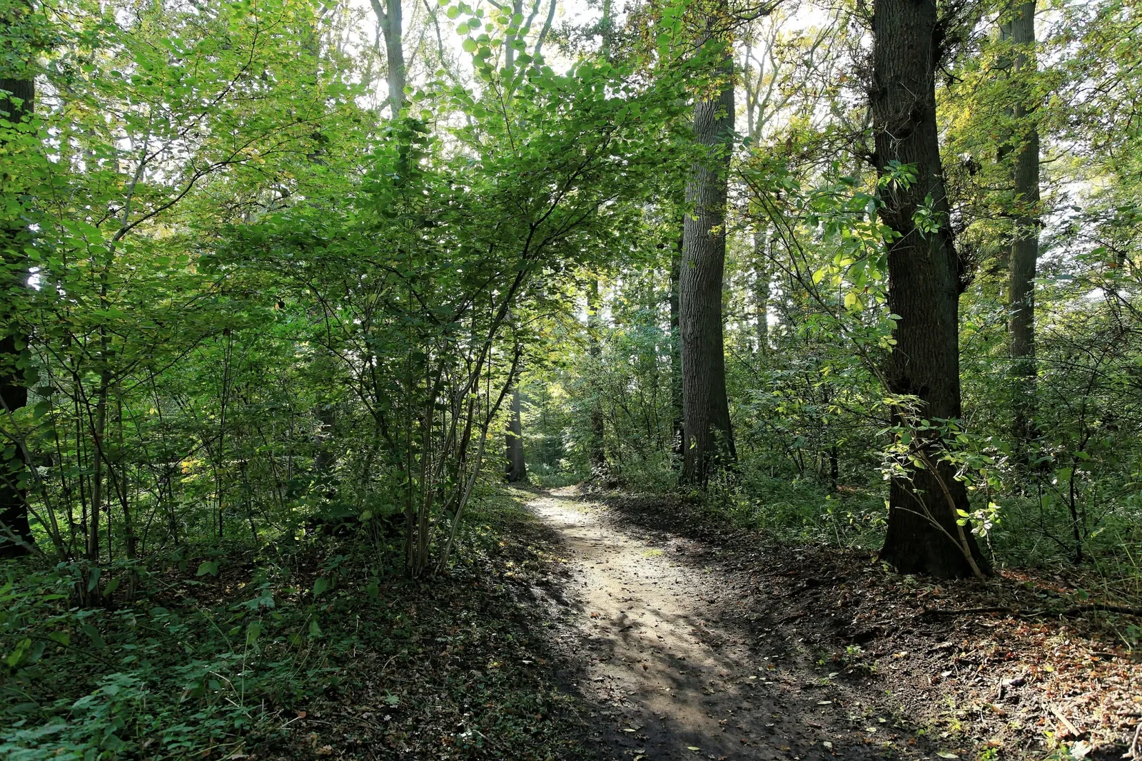 Ammerländer Bauernhaus