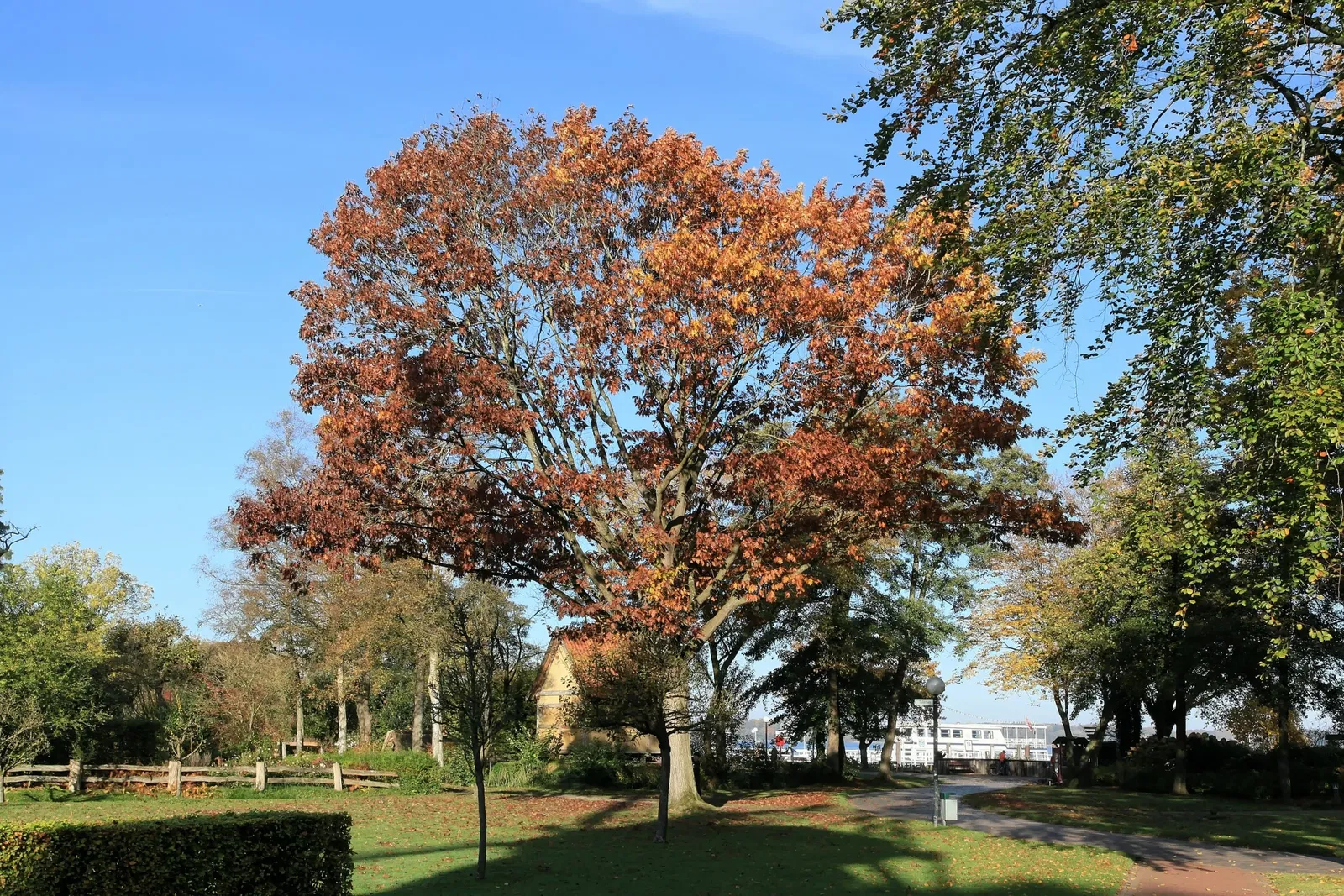 Ammerländer Bauernhaus