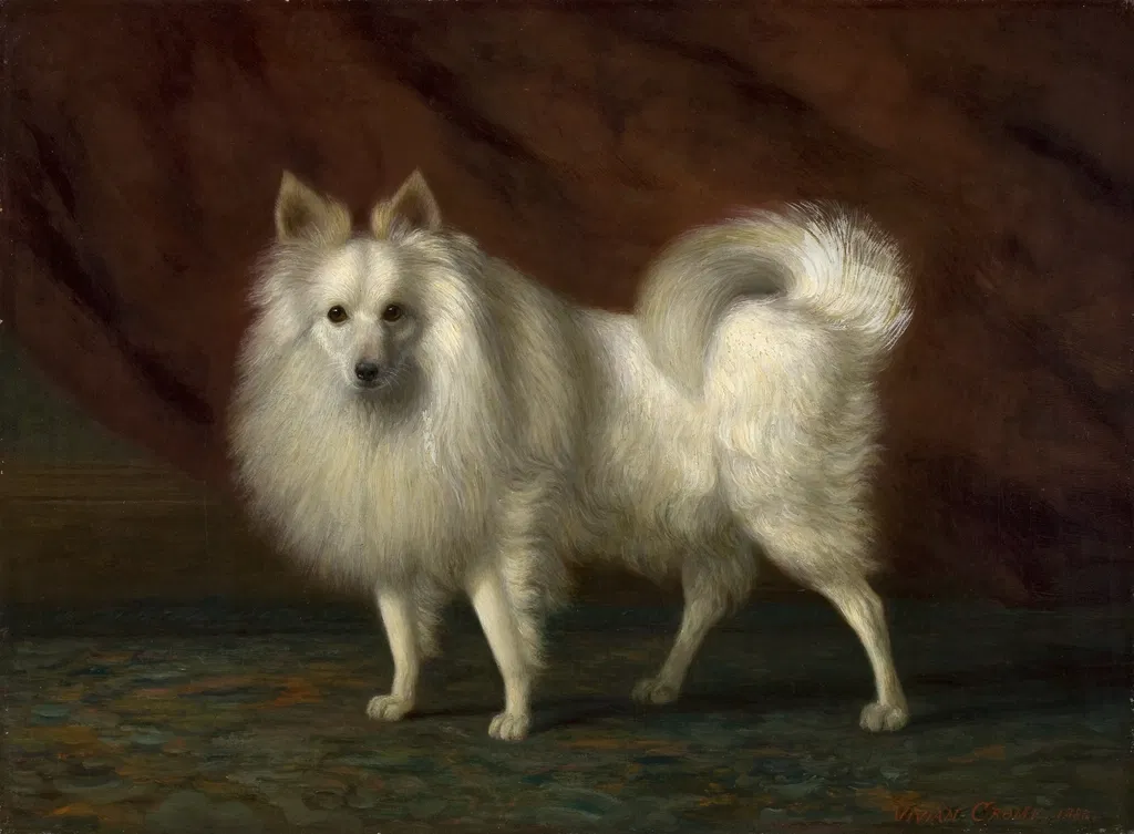 Woof: A Celebration of Dogs