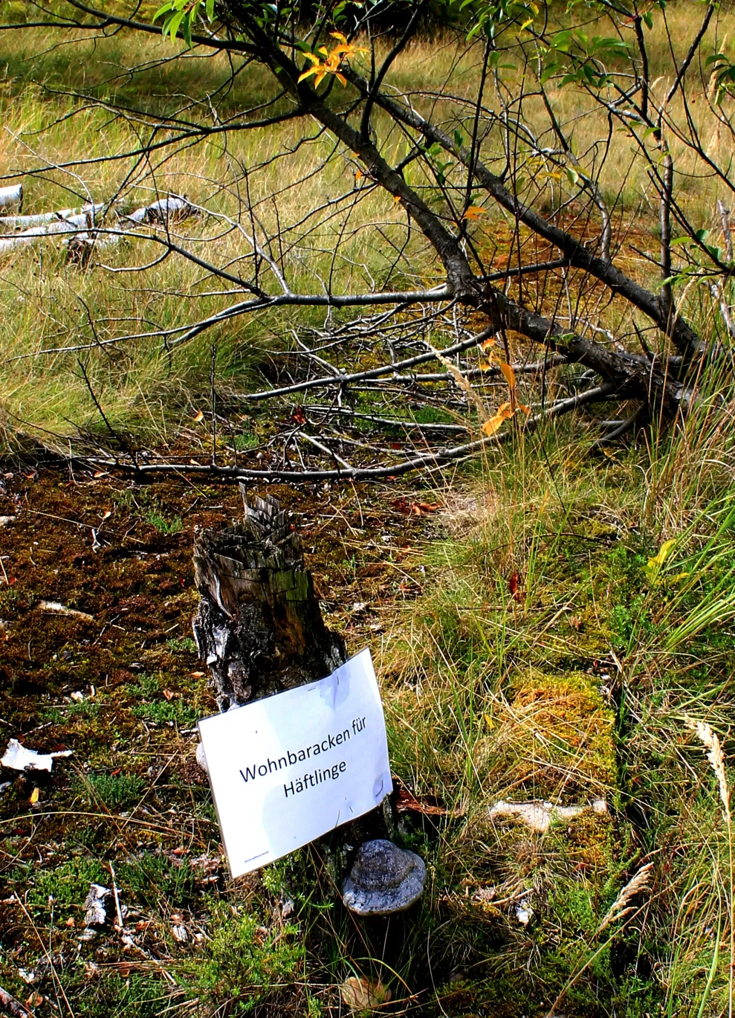 Mémorial de Ravensbrück