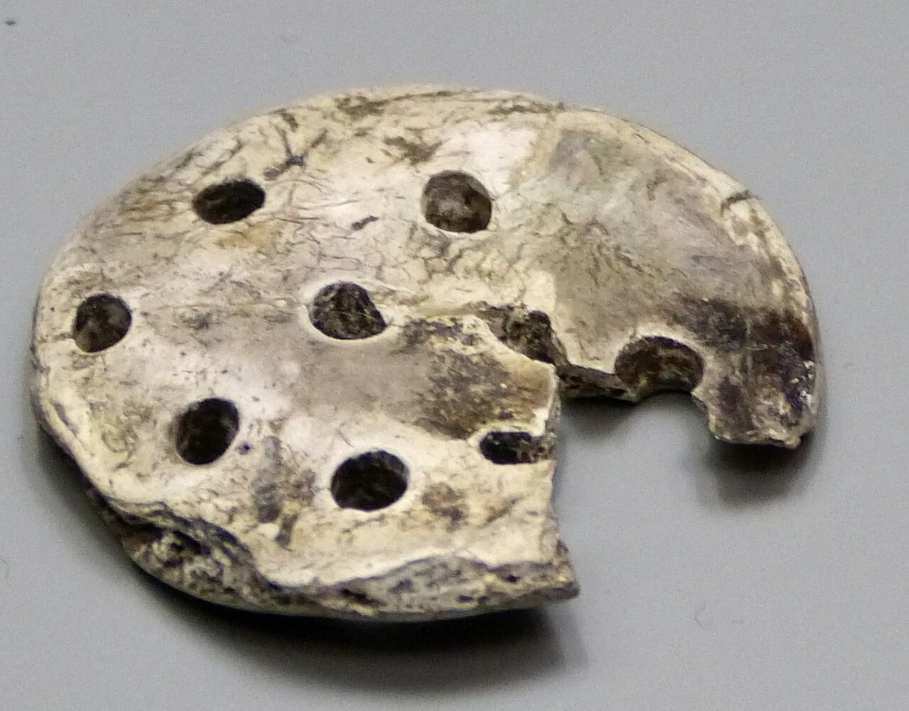 Kastenhof Landau - Das Museum für Steinzeit und Gegenwart