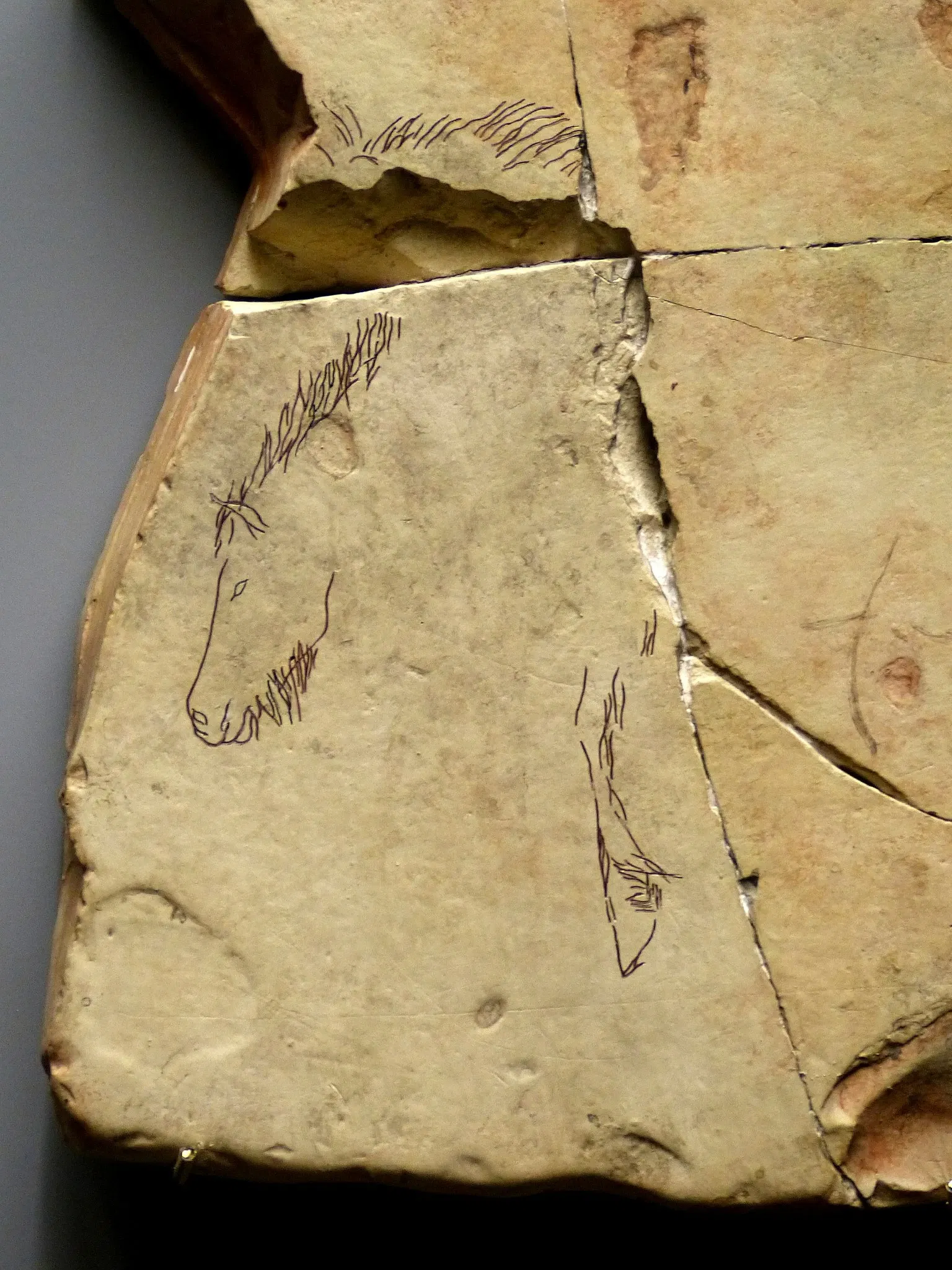 Kastenhof Landau - Das Museum für Steinzeit und Gegenwart