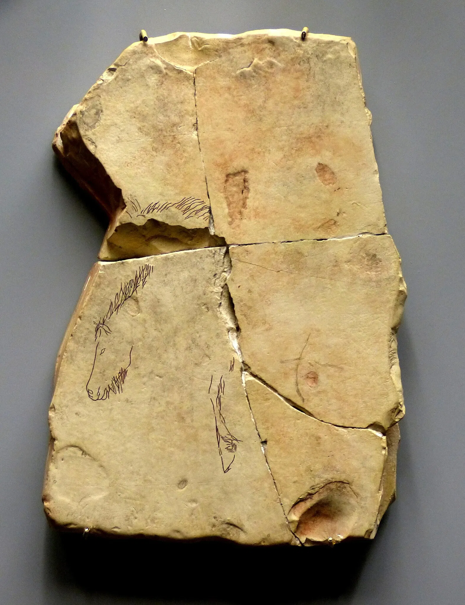 Kastenhof Landau - Das Museum für Steinzeit und Gegenwart