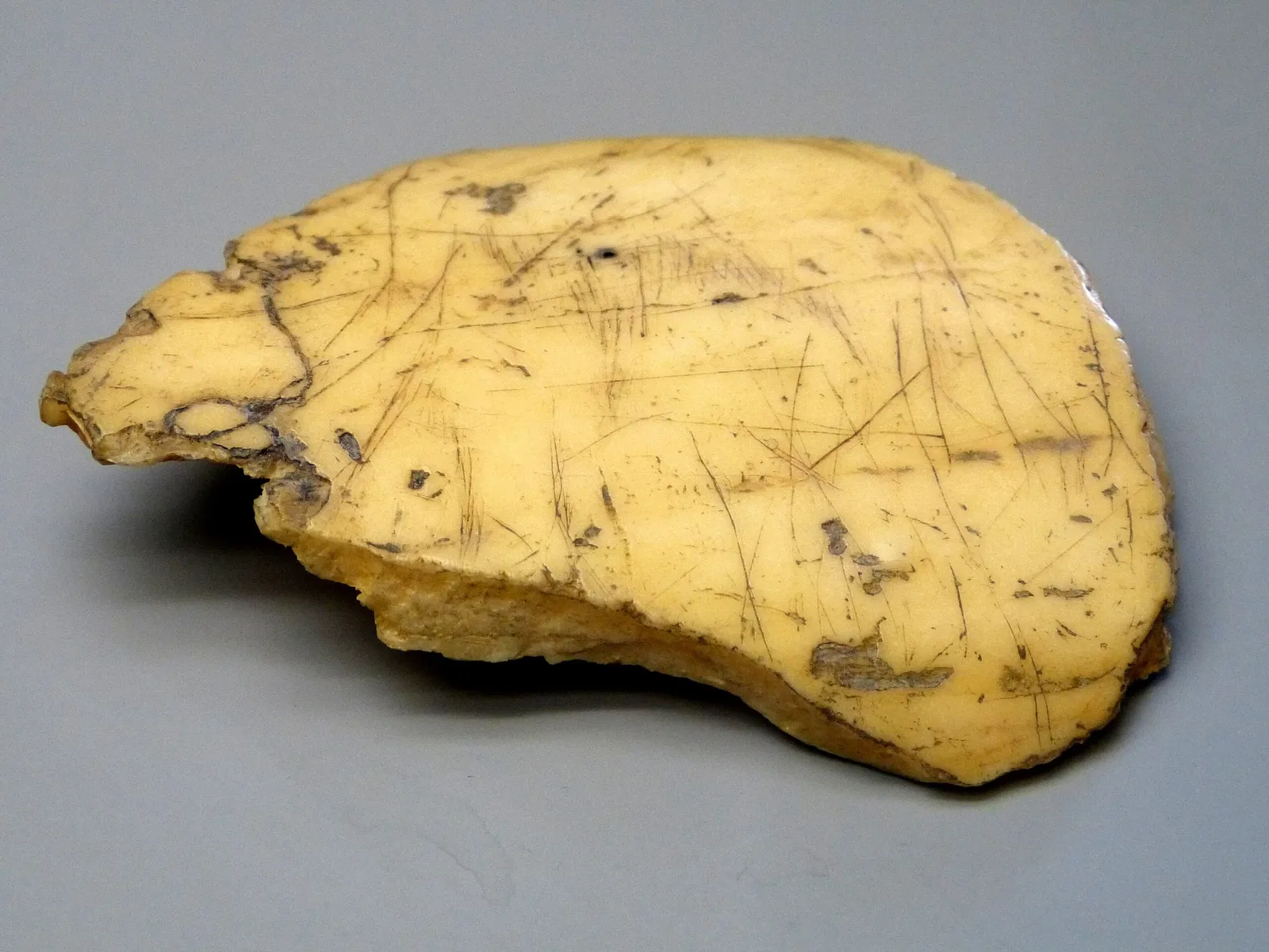 Kastenhof Landau - Das Museum für Steinzeit und Gegenwart