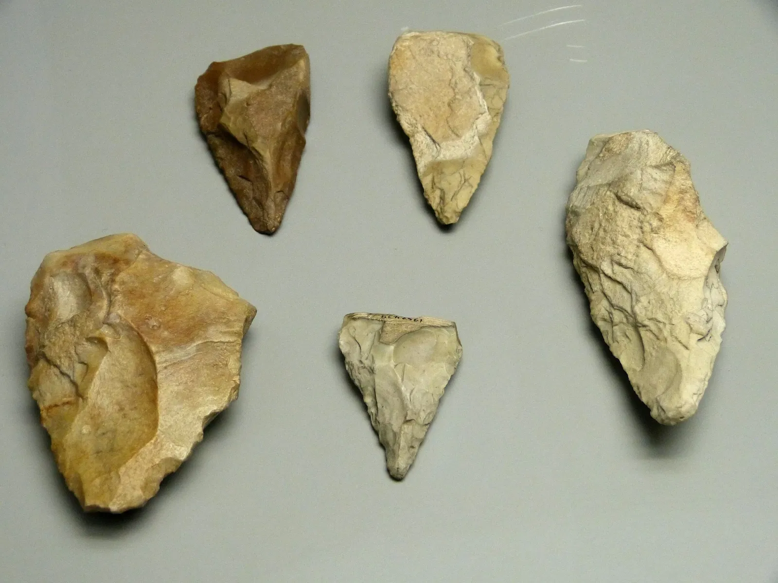 Kastenhof Landau - Das Museum für Steinzeit und Gegenwart