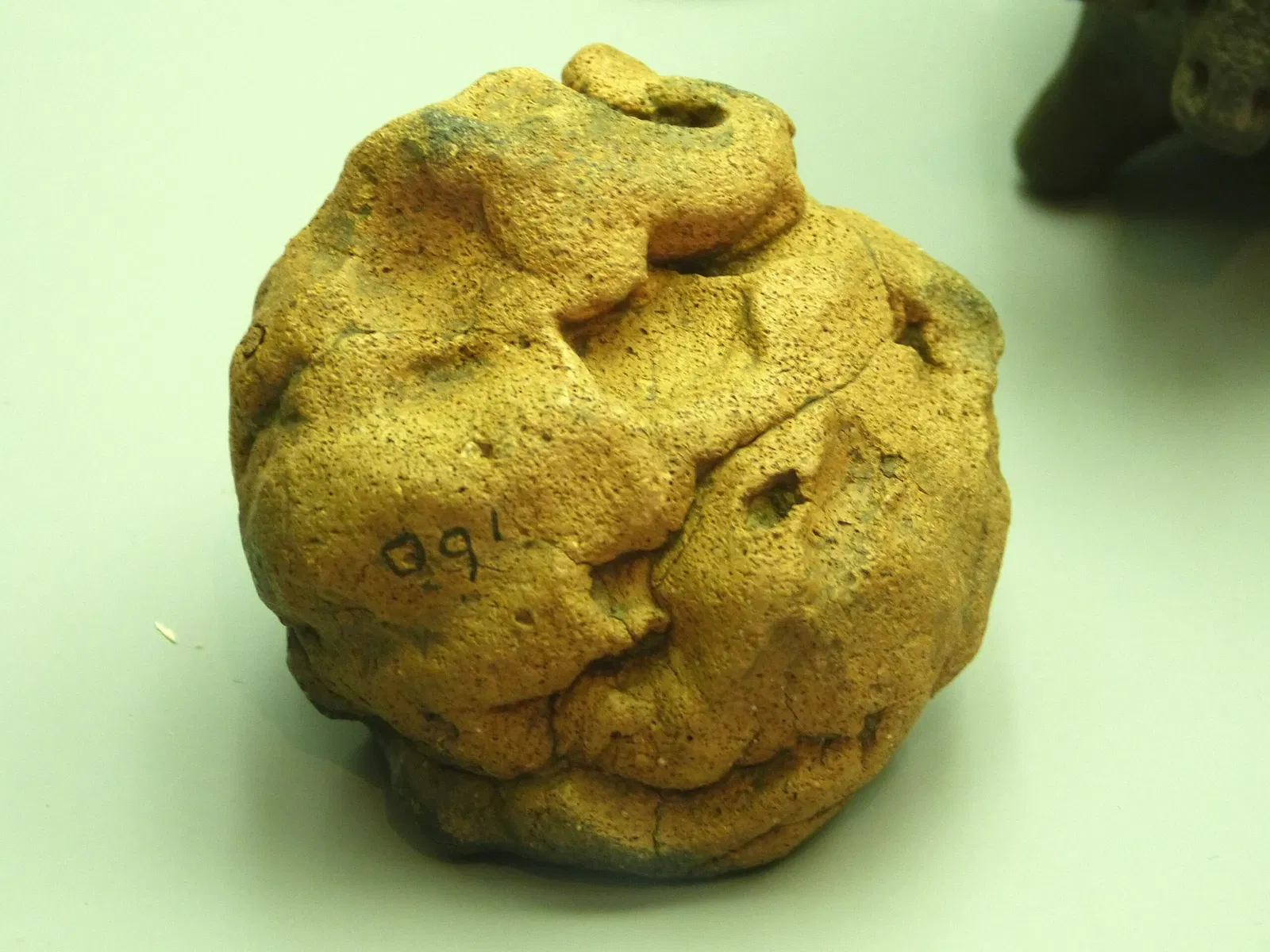 Kastenhof Landau - Das Museum für Steinzeit und Gegenwart