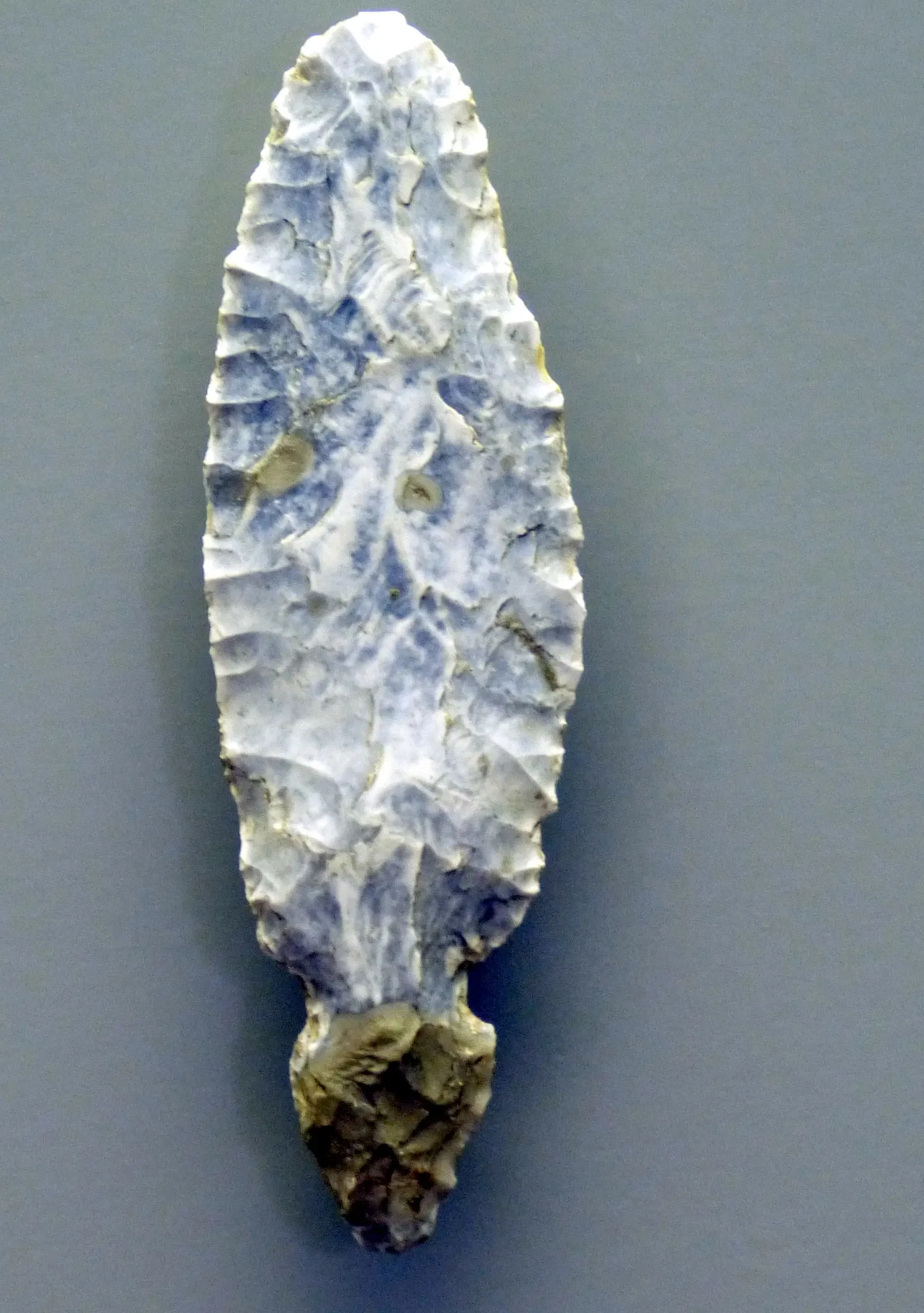 Kastenhof Landau - Das Museum für Steinzeit und Gegenwart