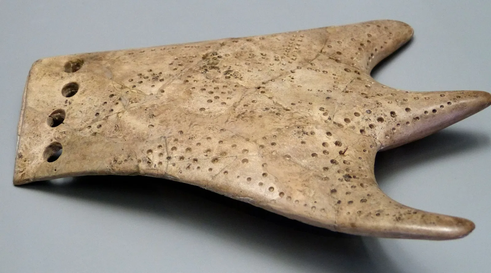 Kastenhof Landau - Das Museum für Steinzeit und Gegenwart