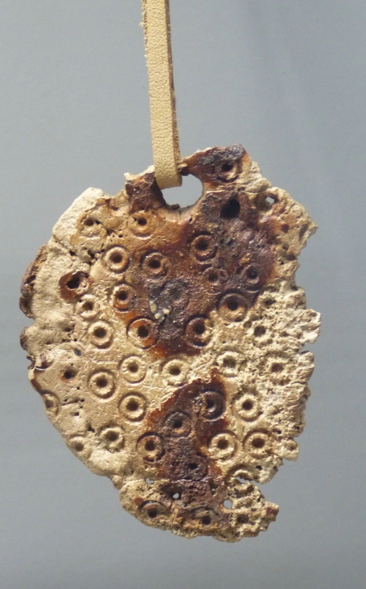 Kastenhof Landau - Das Museum für Steinzeit und Gegenwart