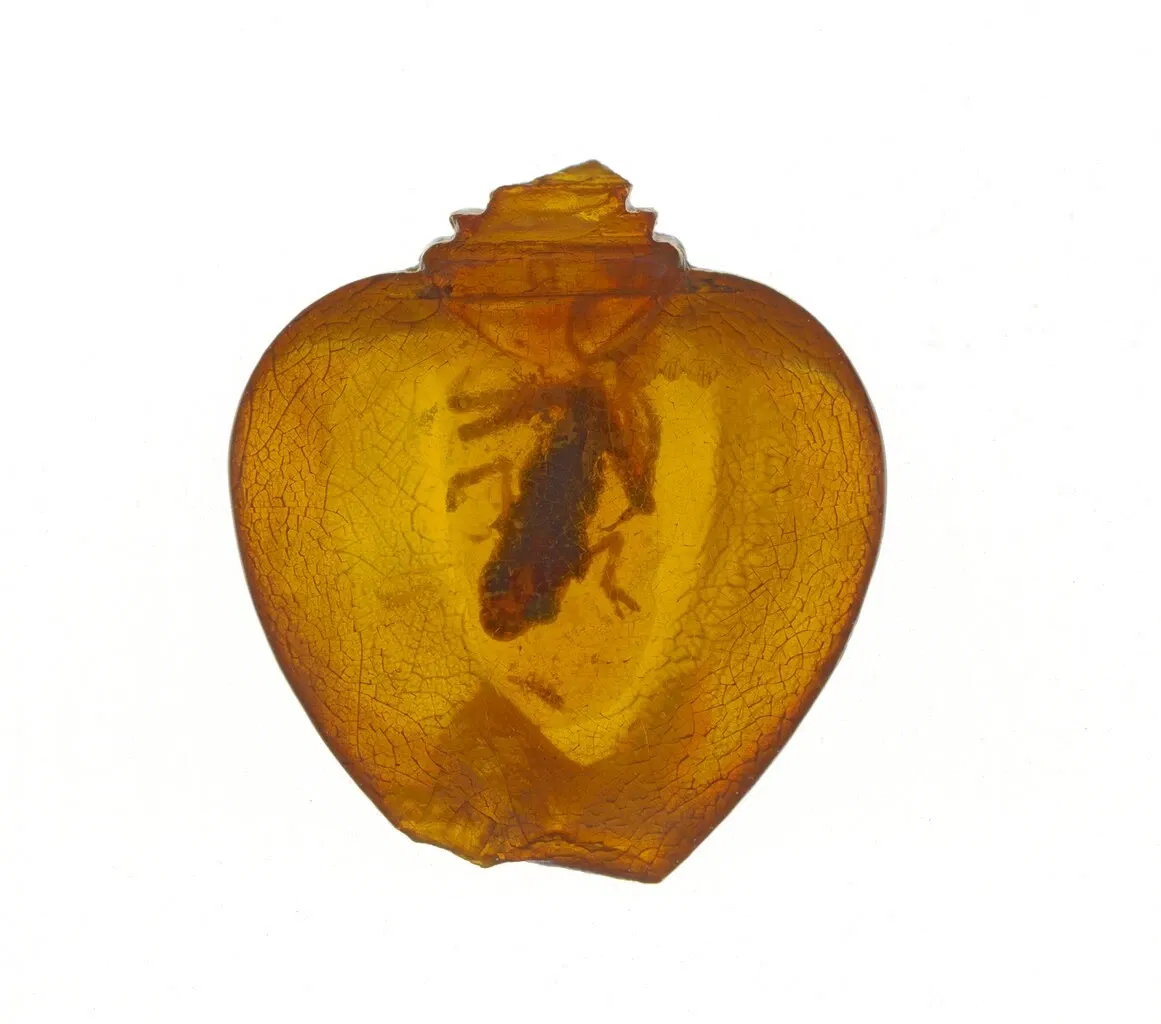 Museum – Naturalienkabinett Waldenburg