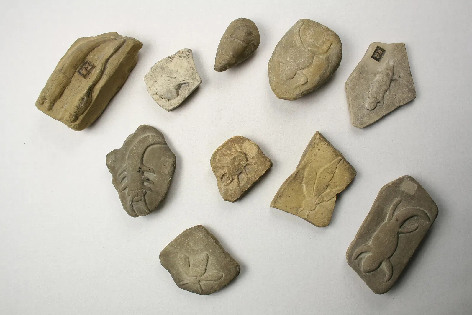 Museum - Natural History Collection Waldenburg