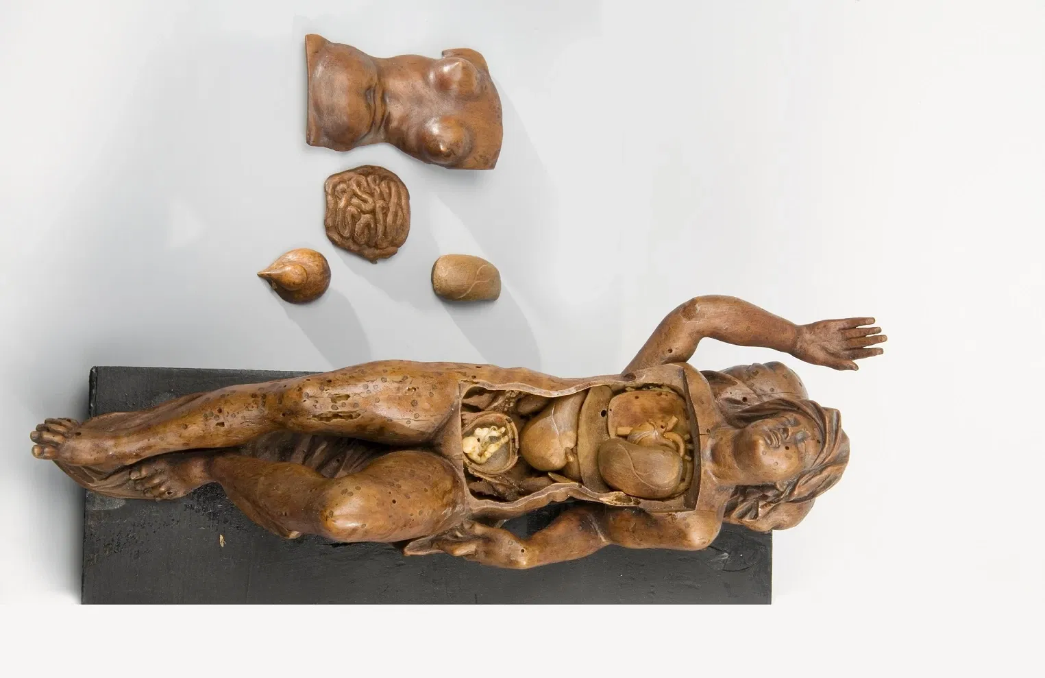 Museum – Naturalienkabinett Waldenburg