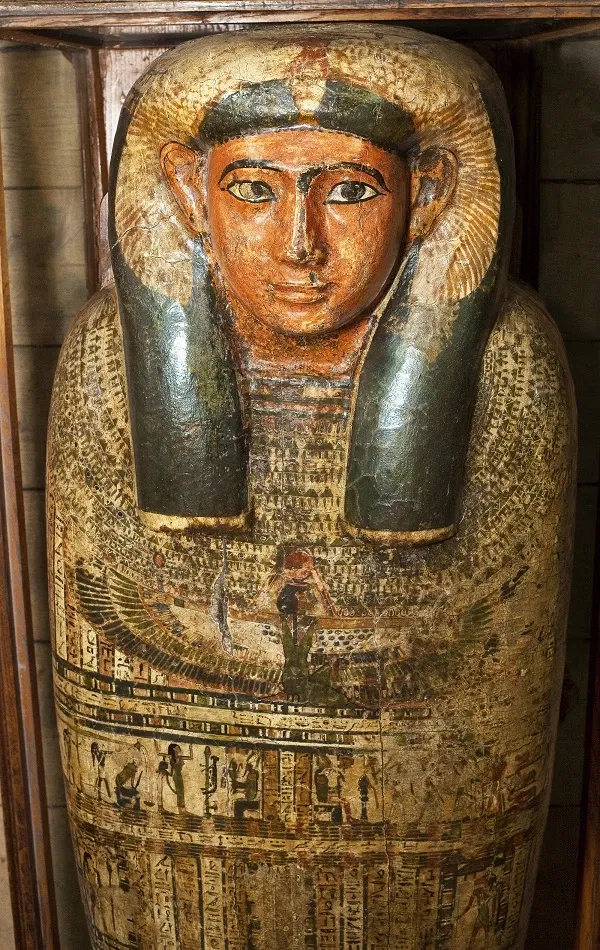 Museum – Naturalienkabinett Waldenburg