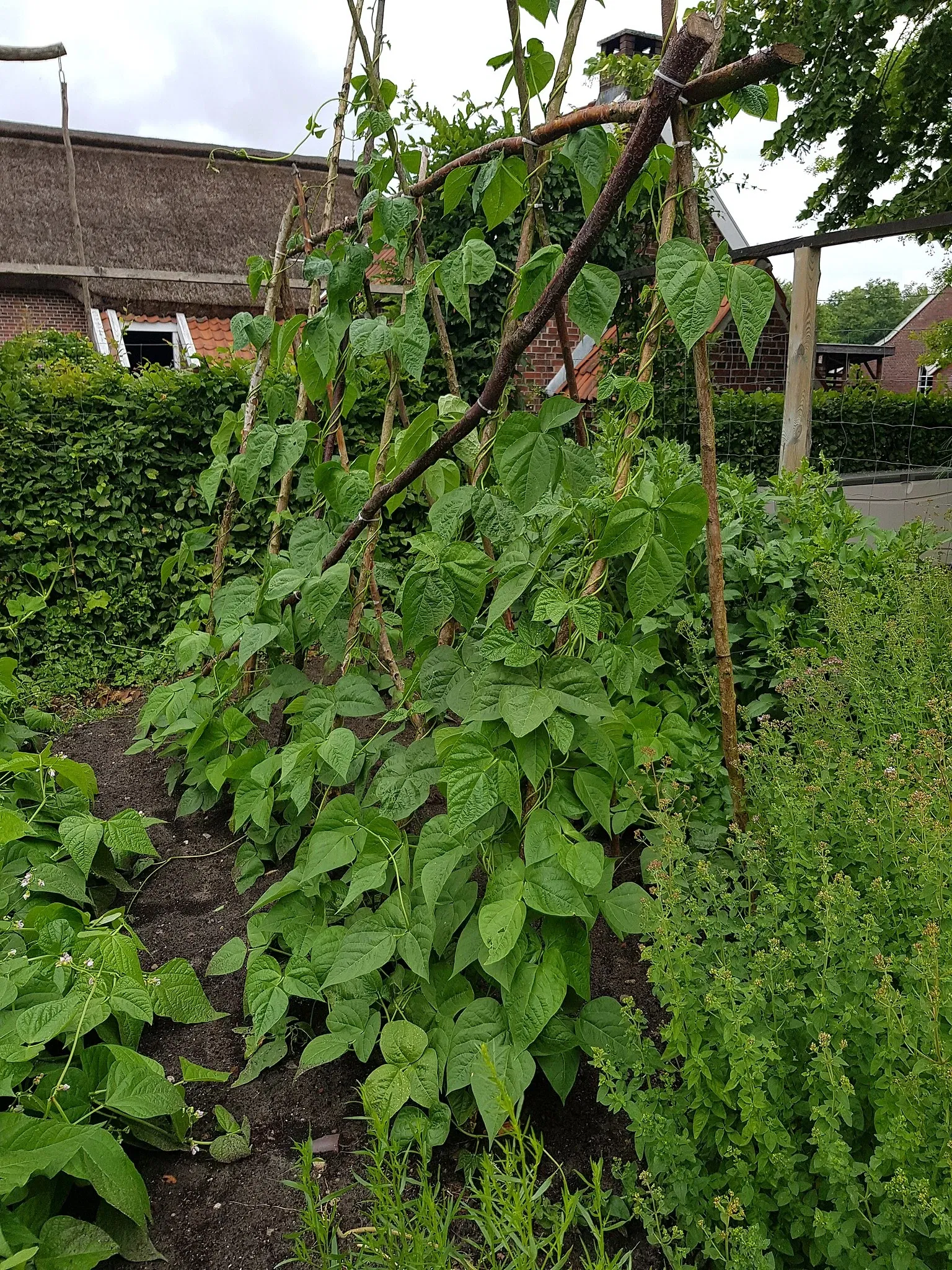 Peat and Settlement Museum