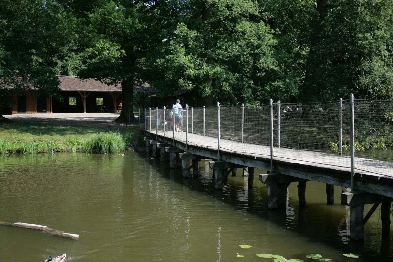 Biotopwildpark Anholter Schweiz