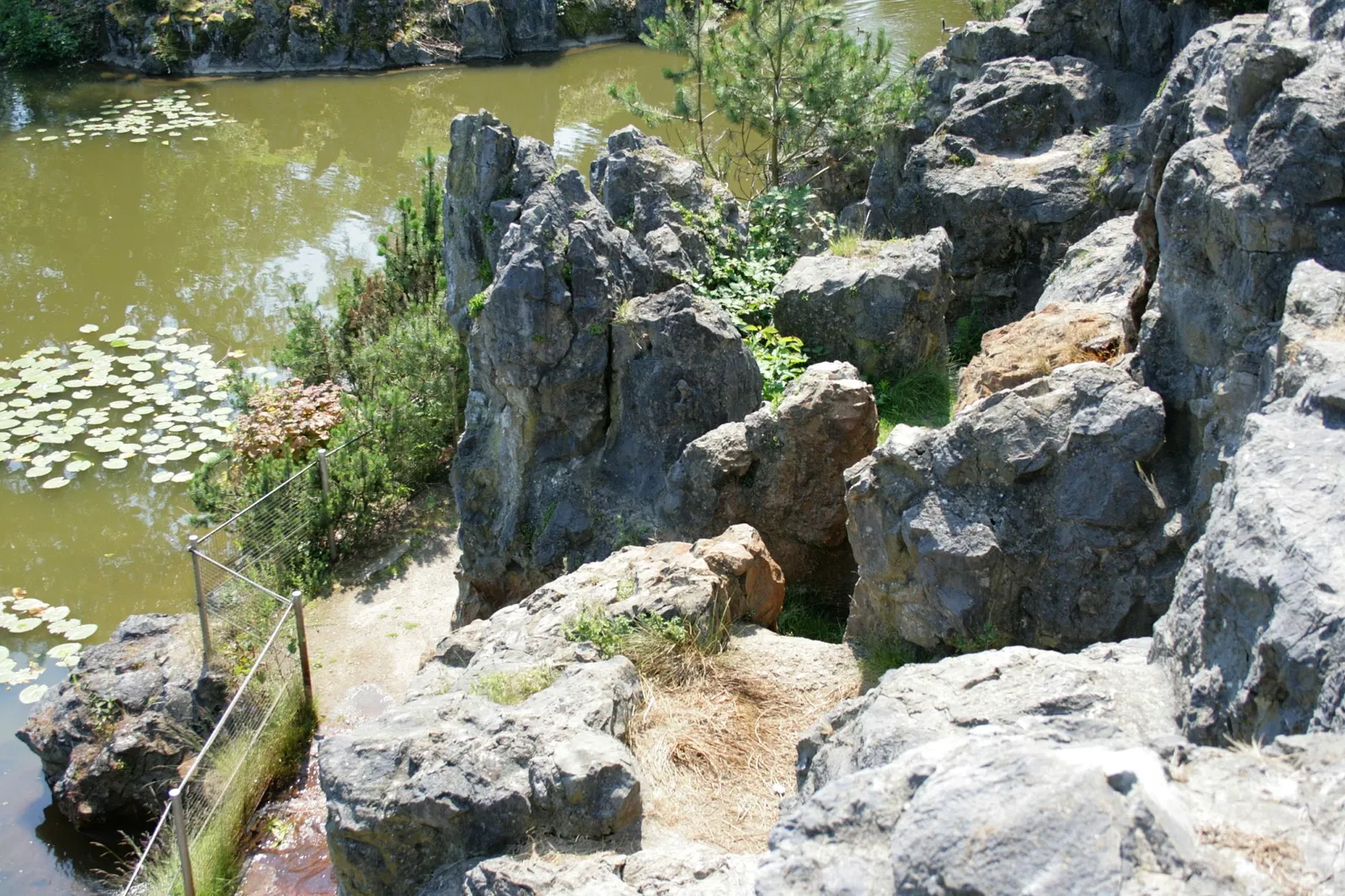 Biotopwildpark Anholter Schweiz