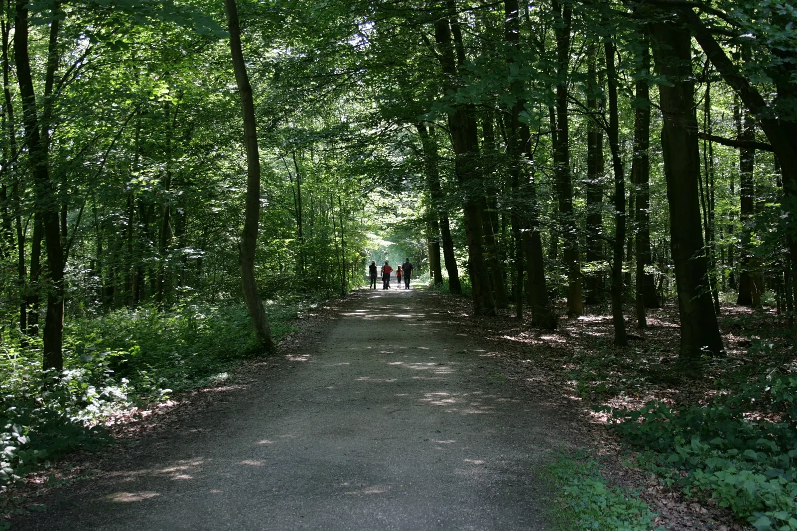 Biotopwildpark Anholter Schweiz