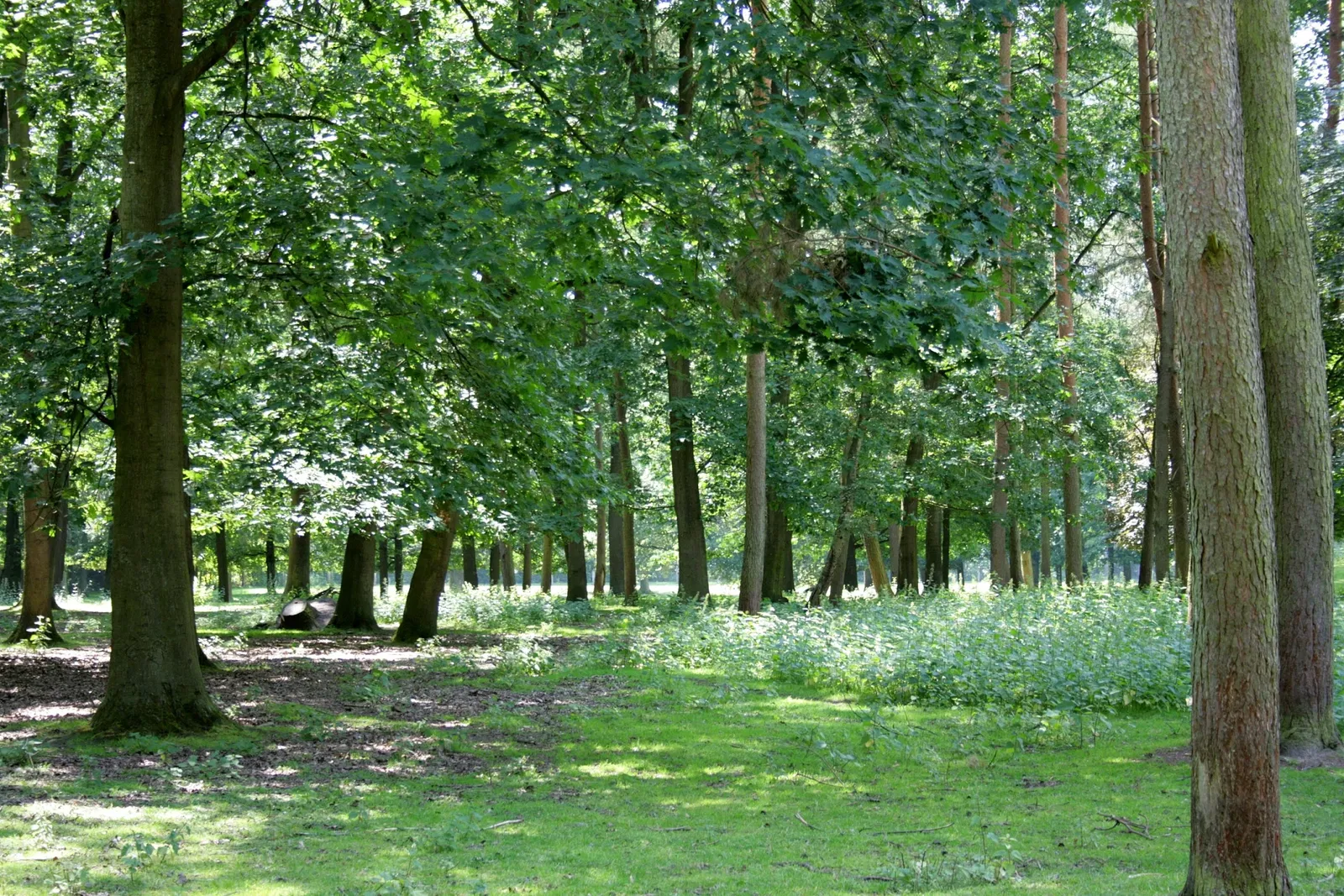 Biotopwildpark Anholter Schweiz