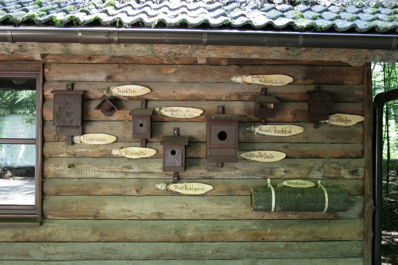 Biotopwildpark Anholter Schweiz