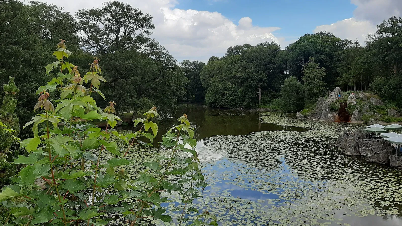 Biotopwildpark Anholter Schweiz