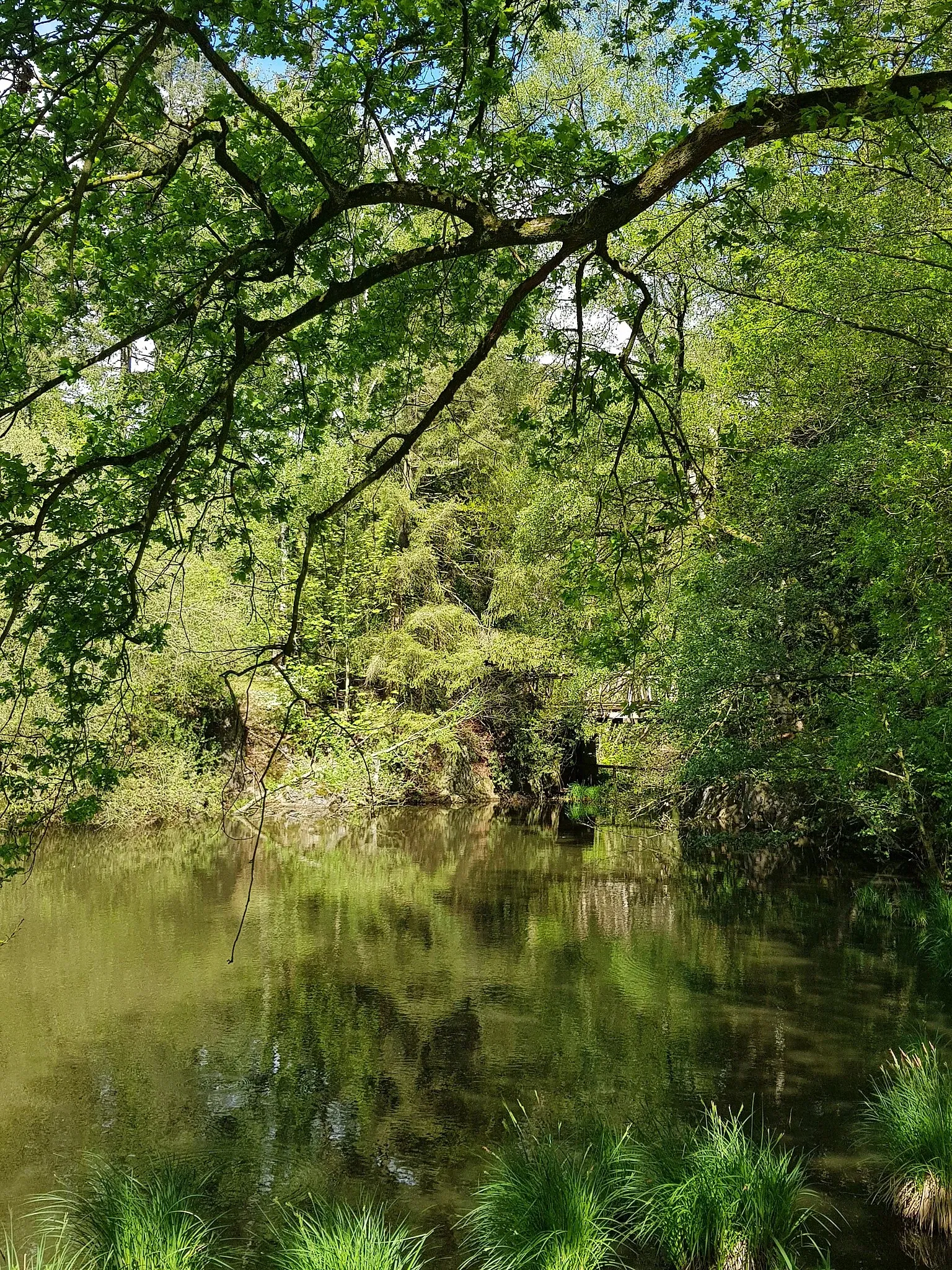 Biotopwildpark Anholter Schweiz